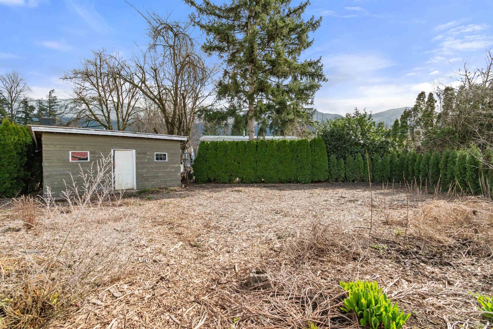 Listing Image 13