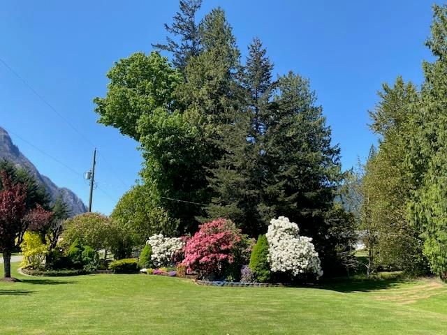 Listing Image 9