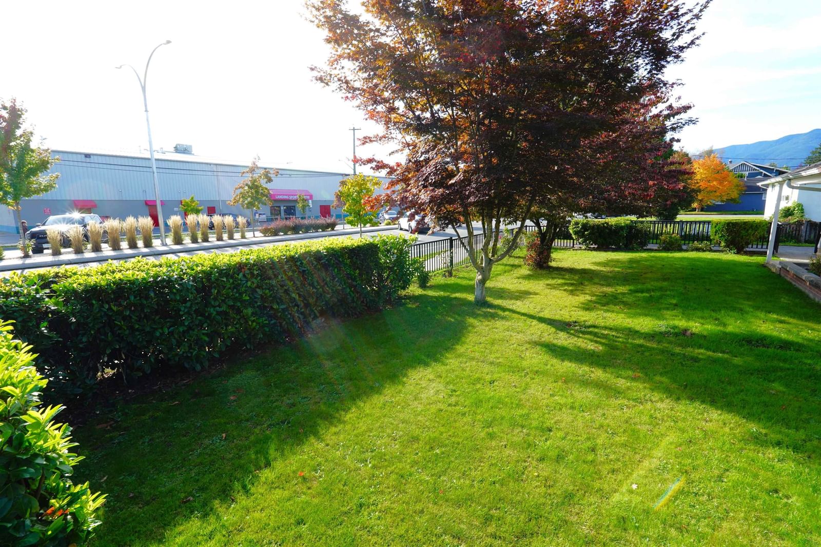 Listing Image 10