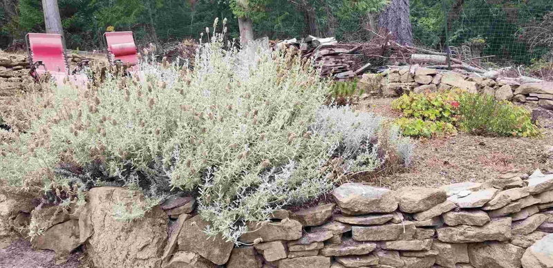 512 Aya Reach Road, Mayne Island, V0N 2J1 | Image 2