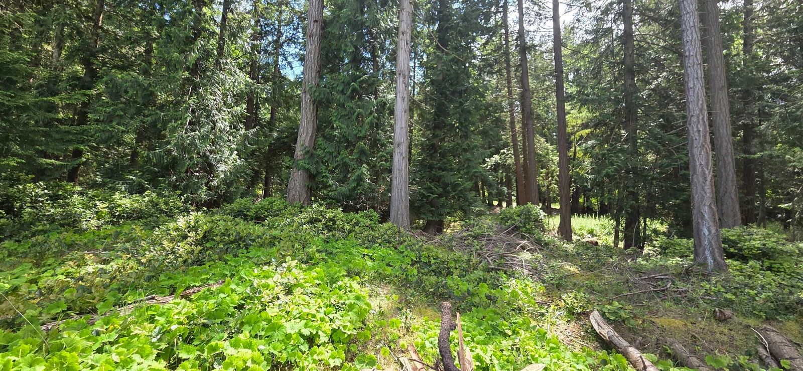 Listing Image 30