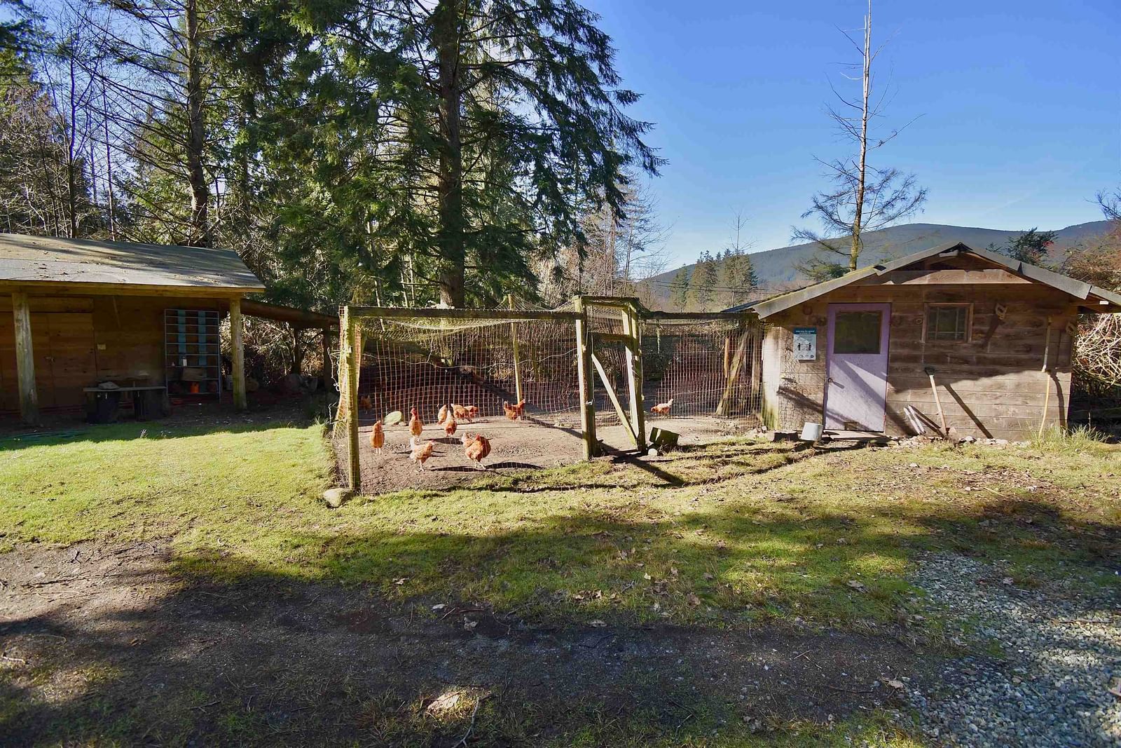 Listing Image 31
