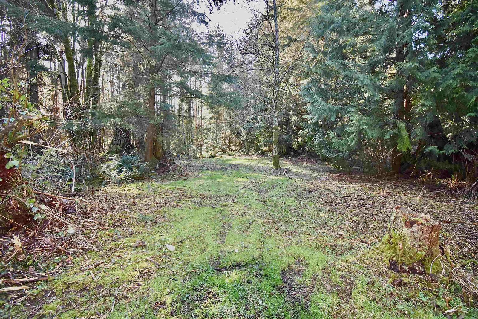 Listing Image 33