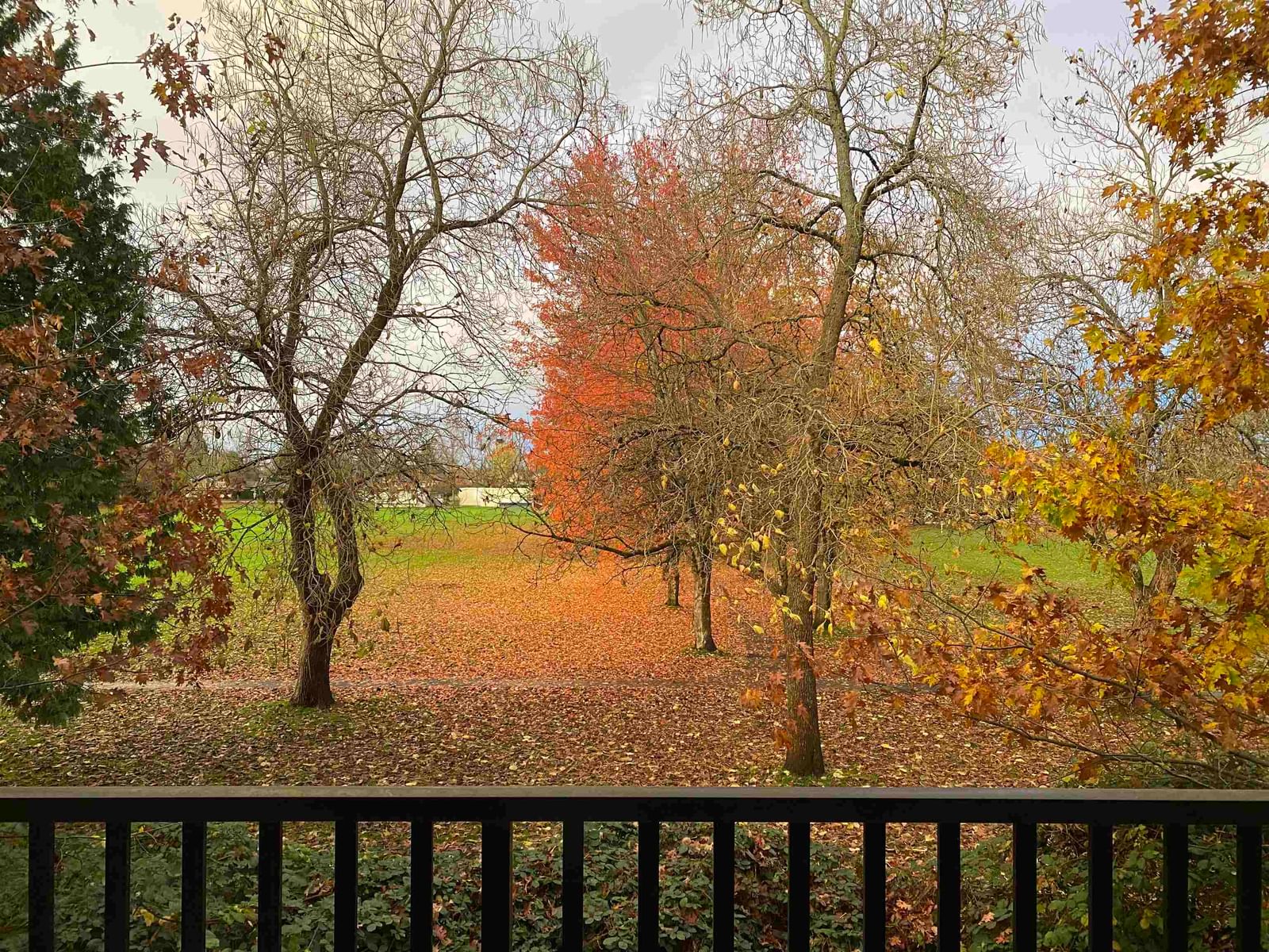Listing Image 35