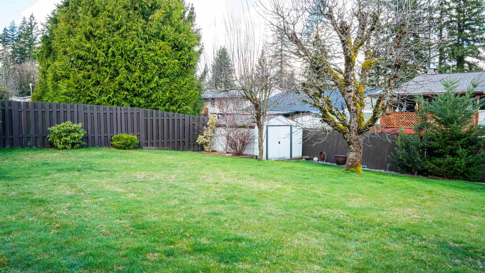 Listing Image 34