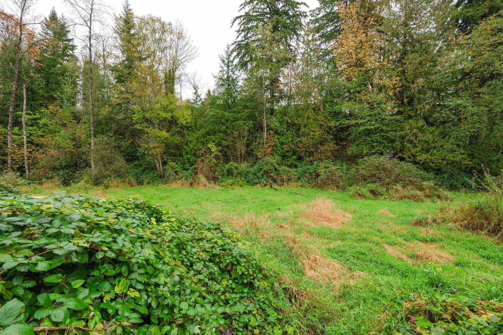 Listing Image 38