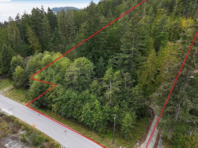 LOT 1 - 13685 Lee Road
