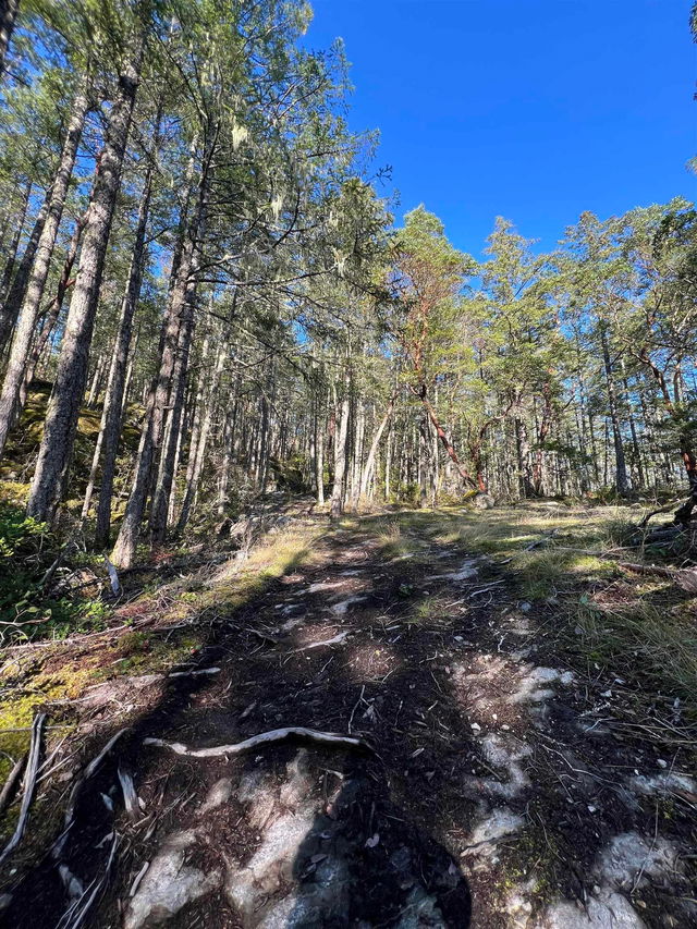 LOT 2 - 13685 Lee Road
