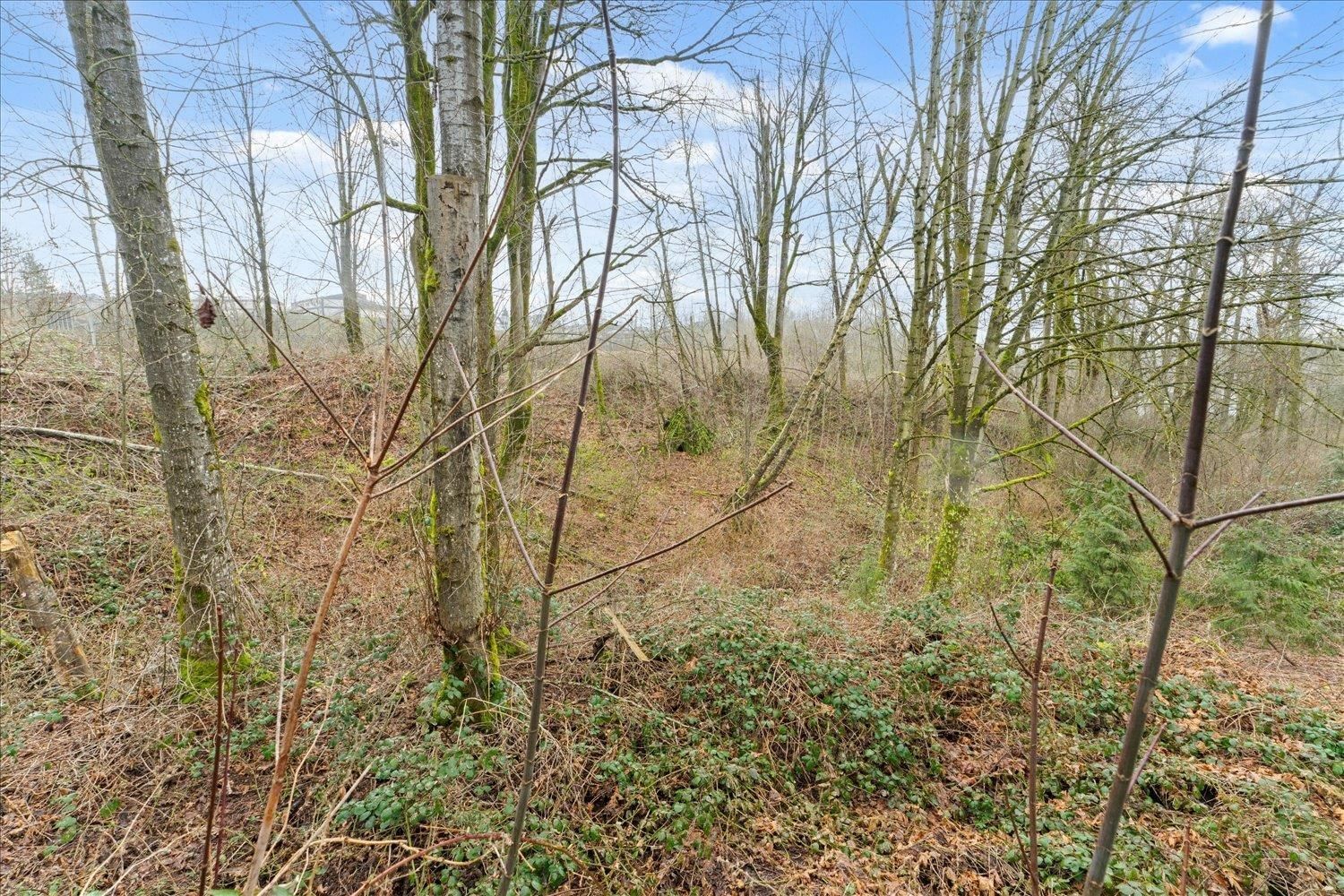 Listing Image 27