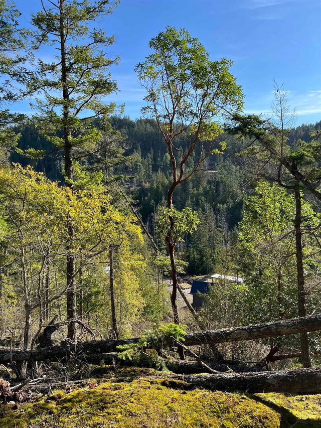 LOT 5 - 13685 Lee Road