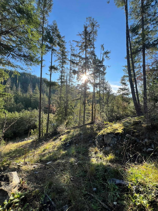 LOT 7 - 13685 Lee Road
