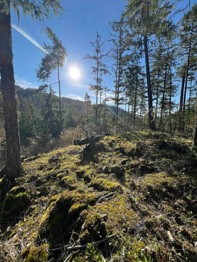 LOT 8 - 13685 Lee Road