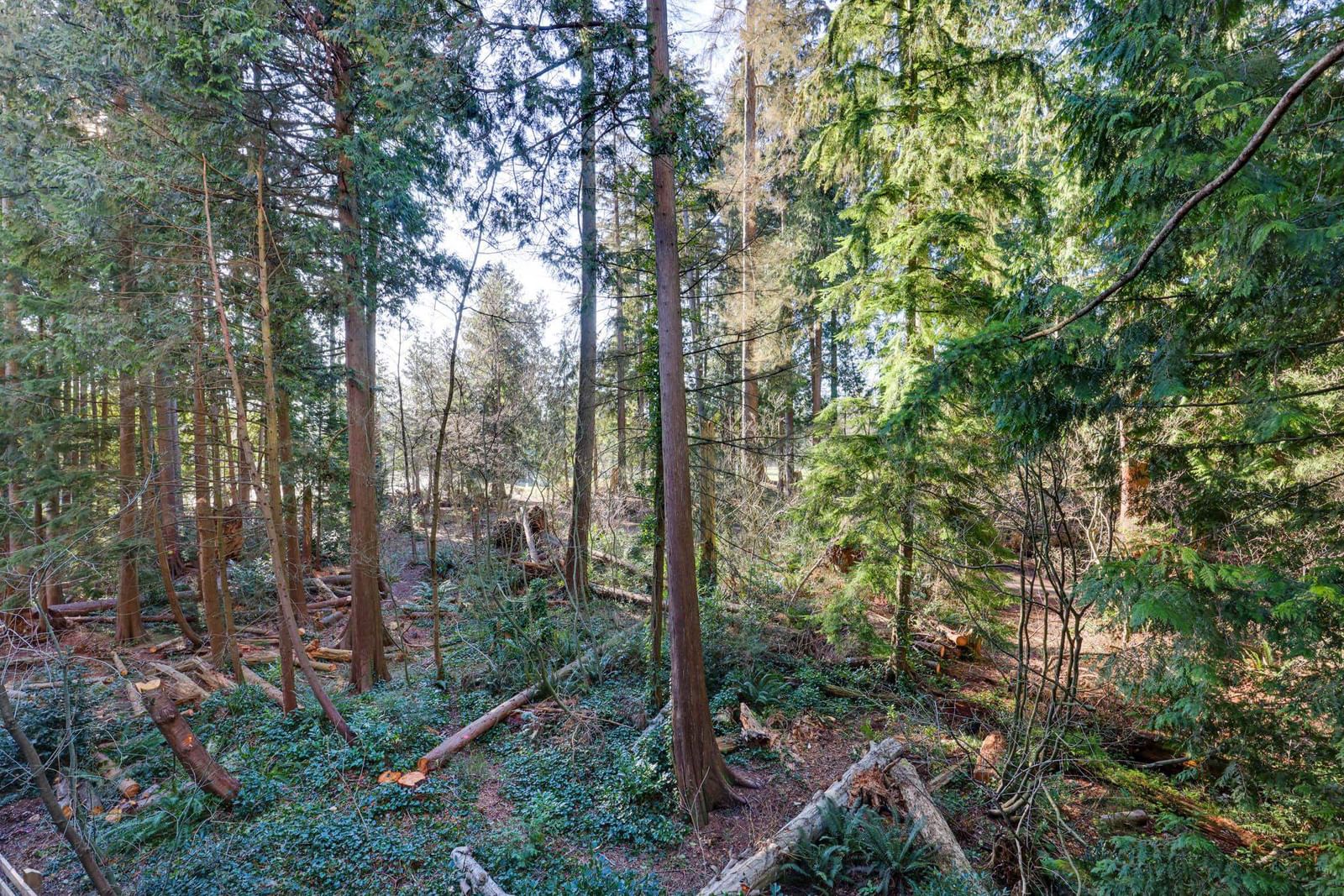 Listing Image 24