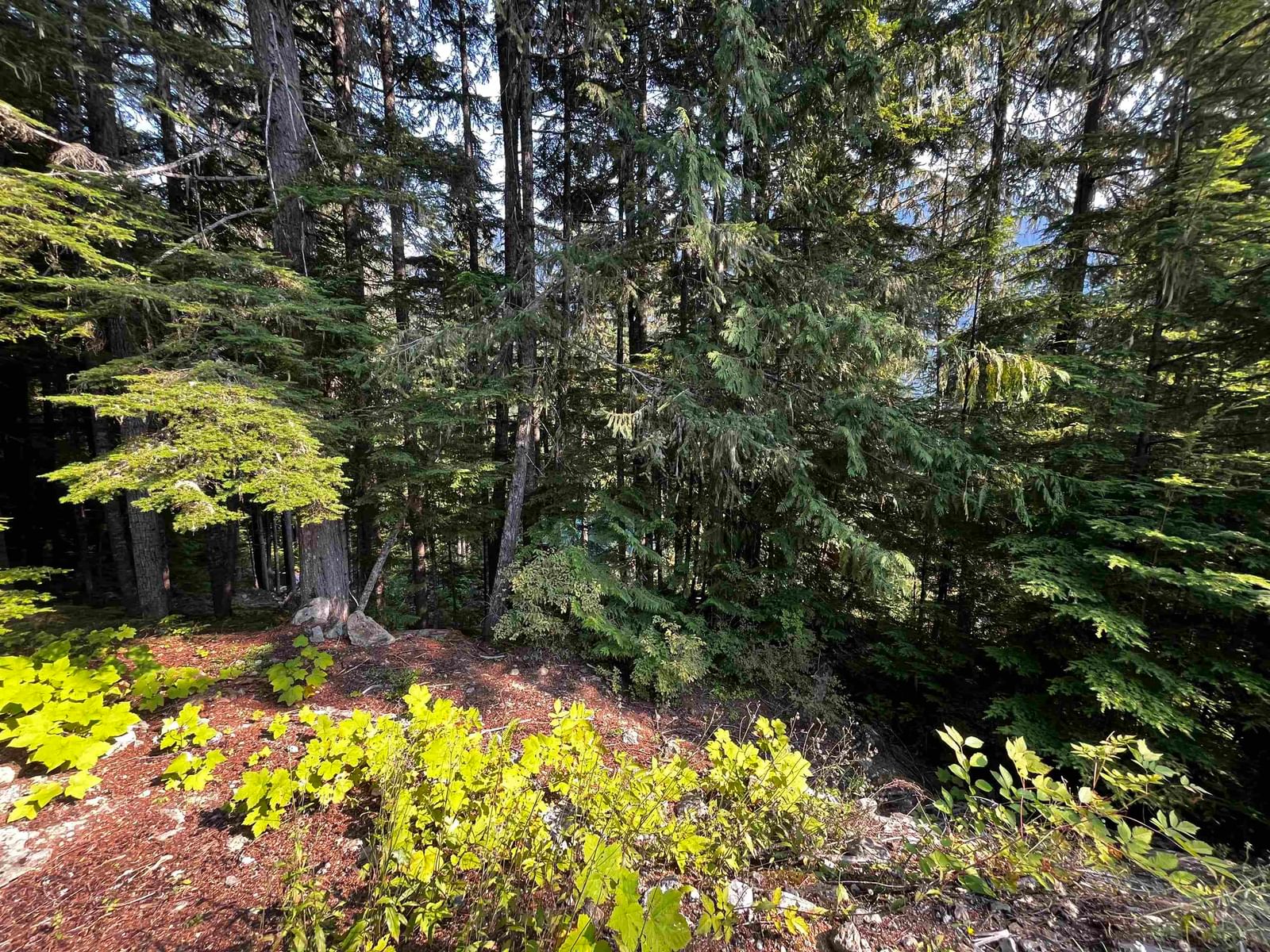 Listing Image 8