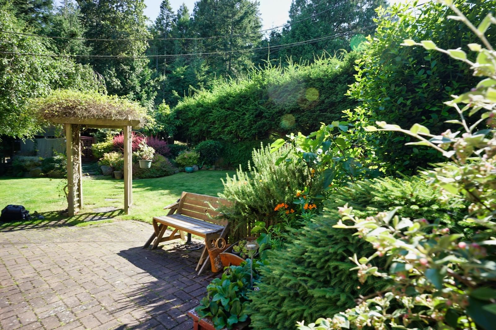 Listing Image 5