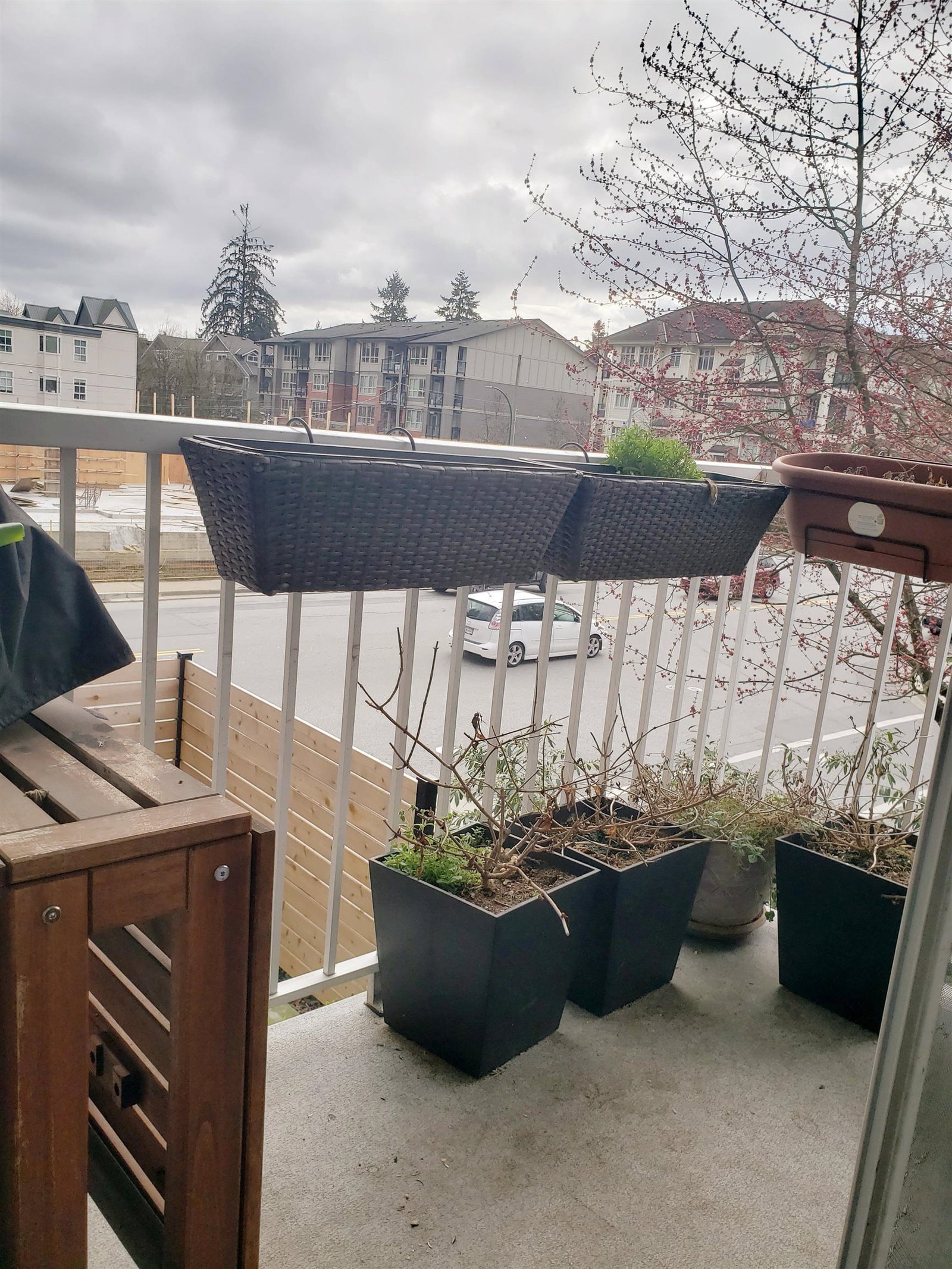 Listing Image 17
