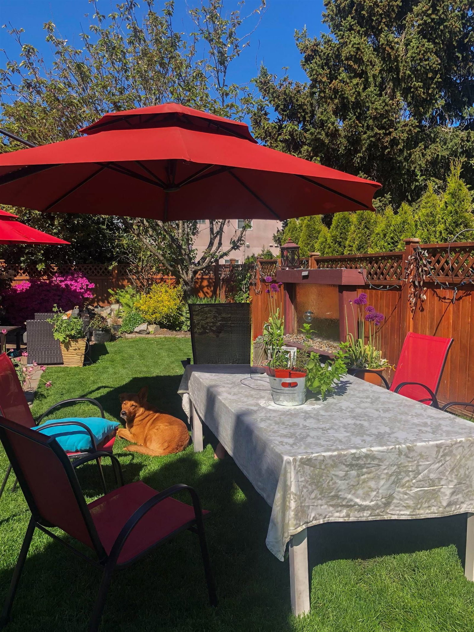 Listing Image 39