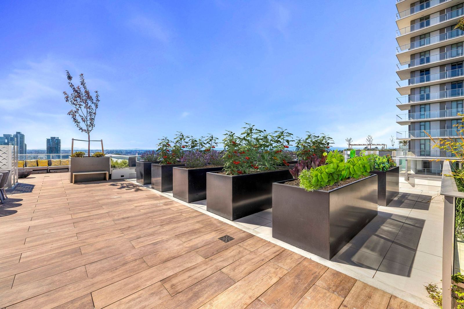 Listing Image 12