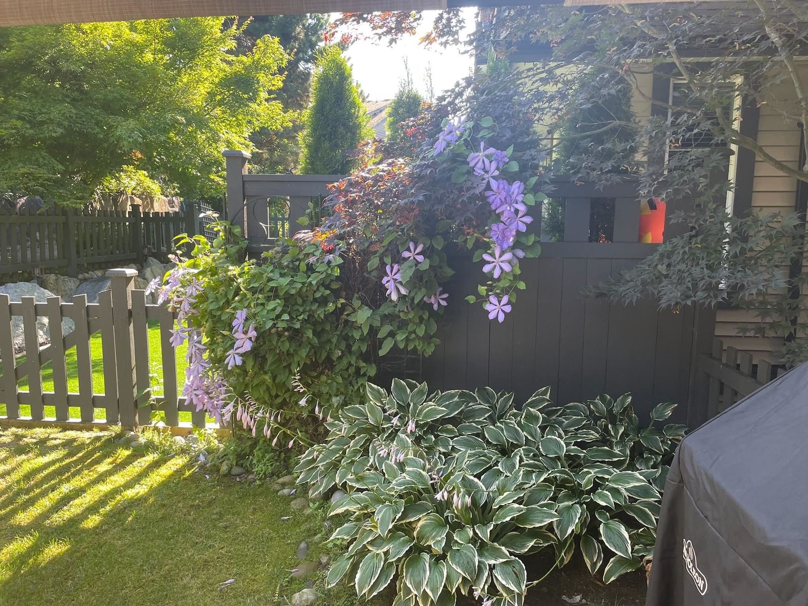 Listing Image 33