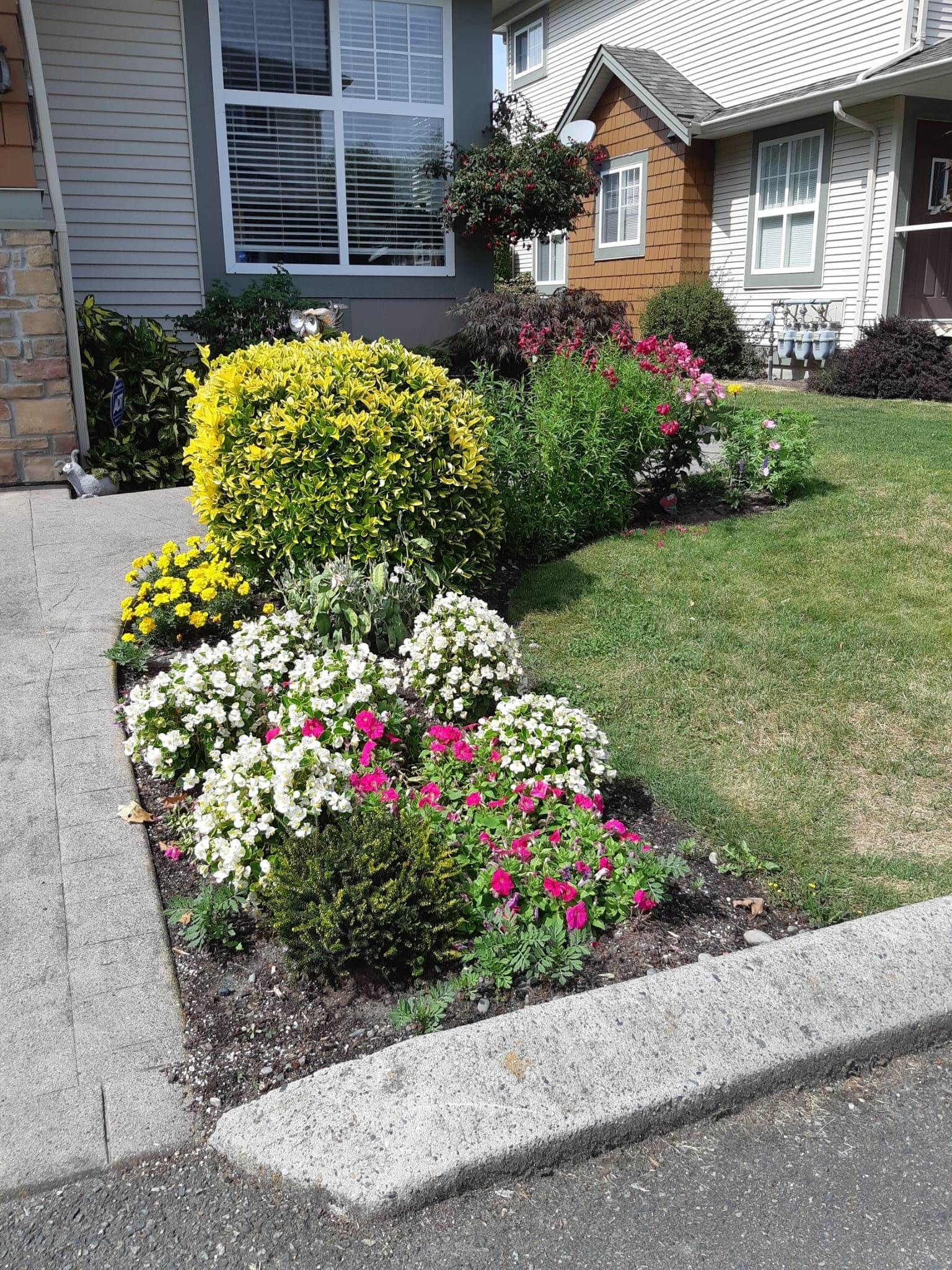 Listing Image 37