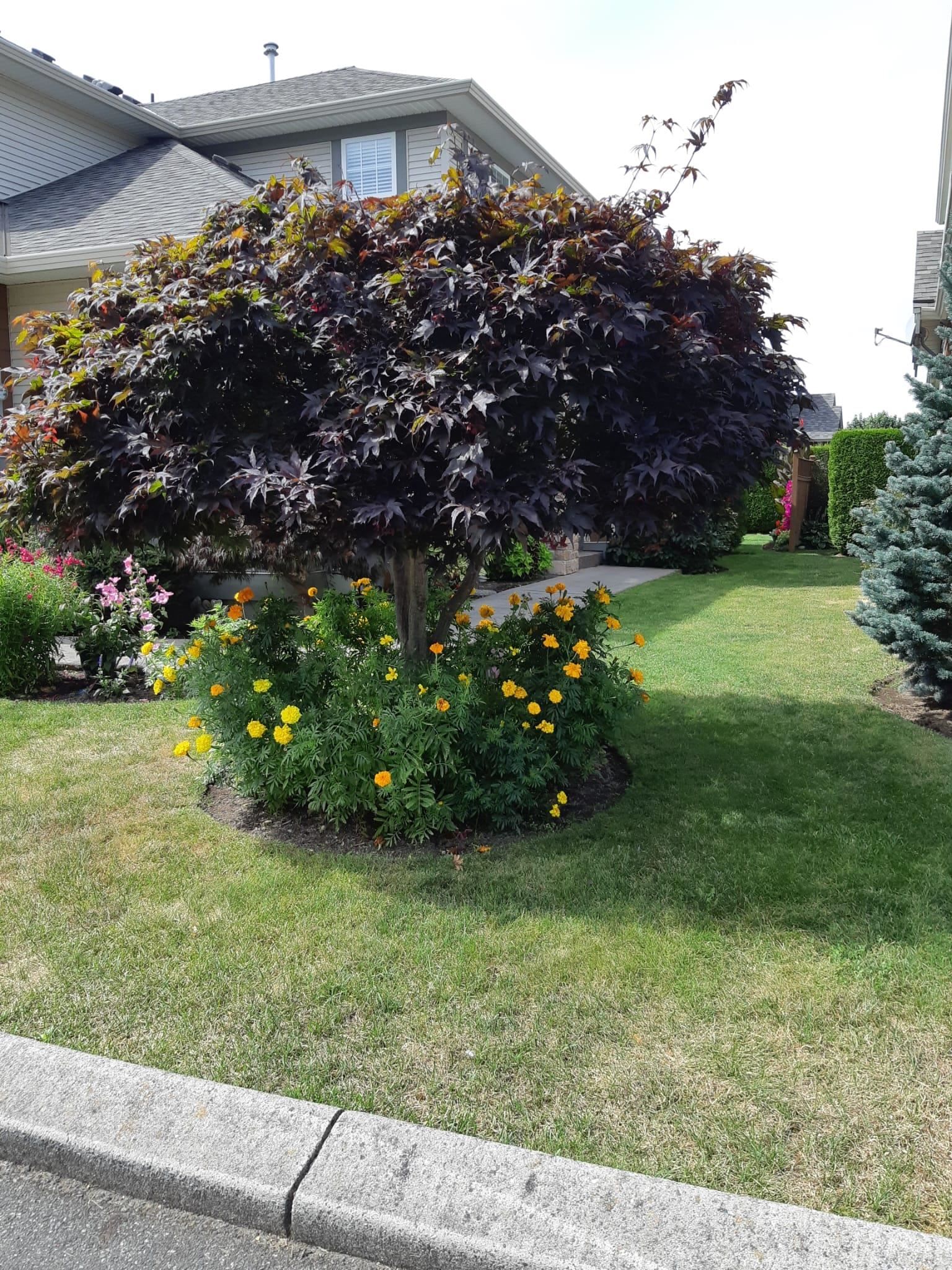 Listing Image 39