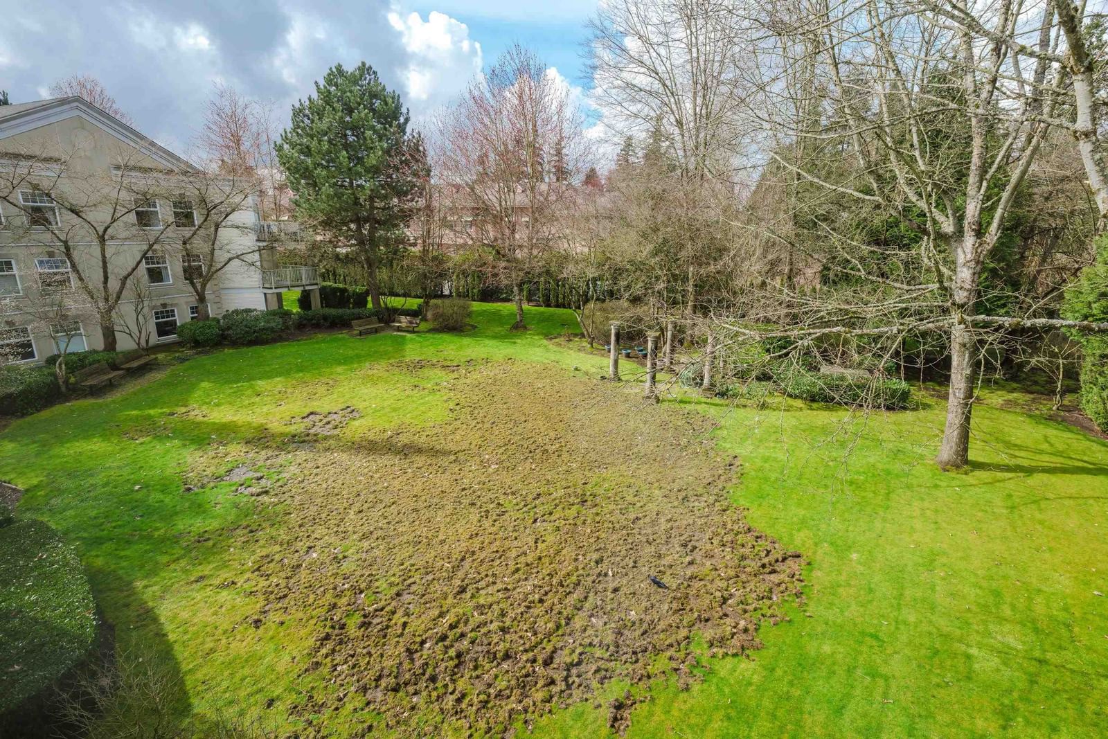 Listing Image 17