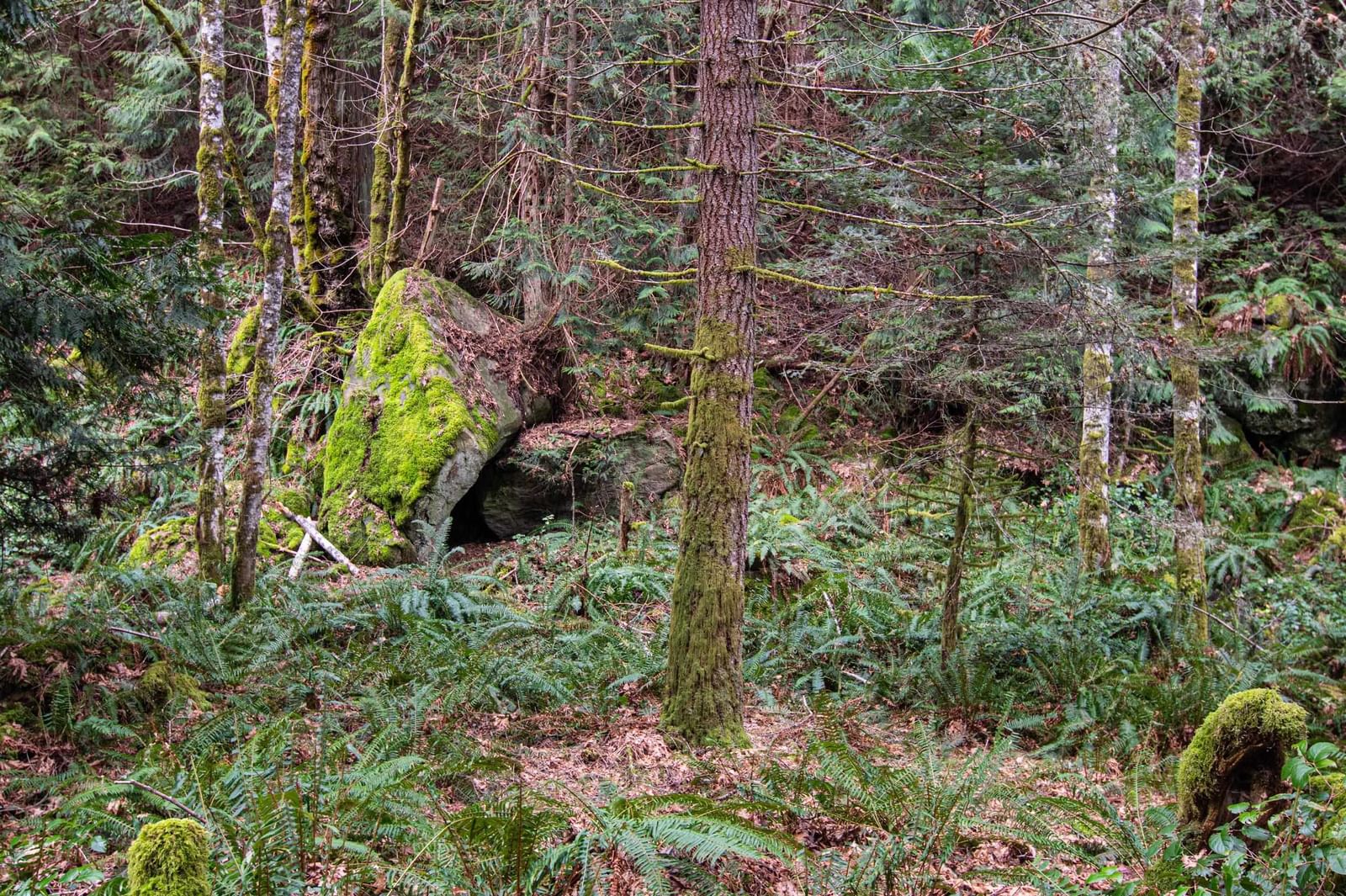 Listing Image 29