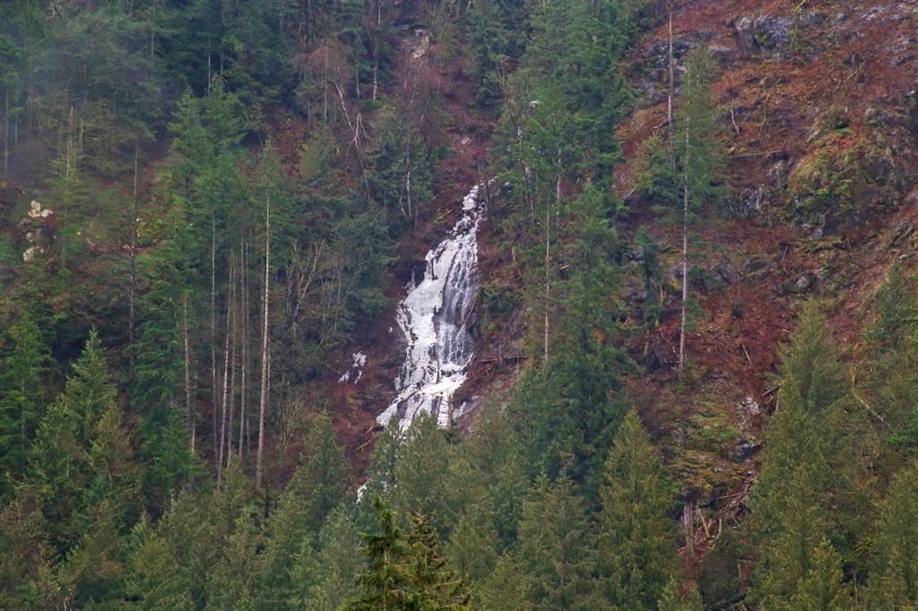 Listing Image 38