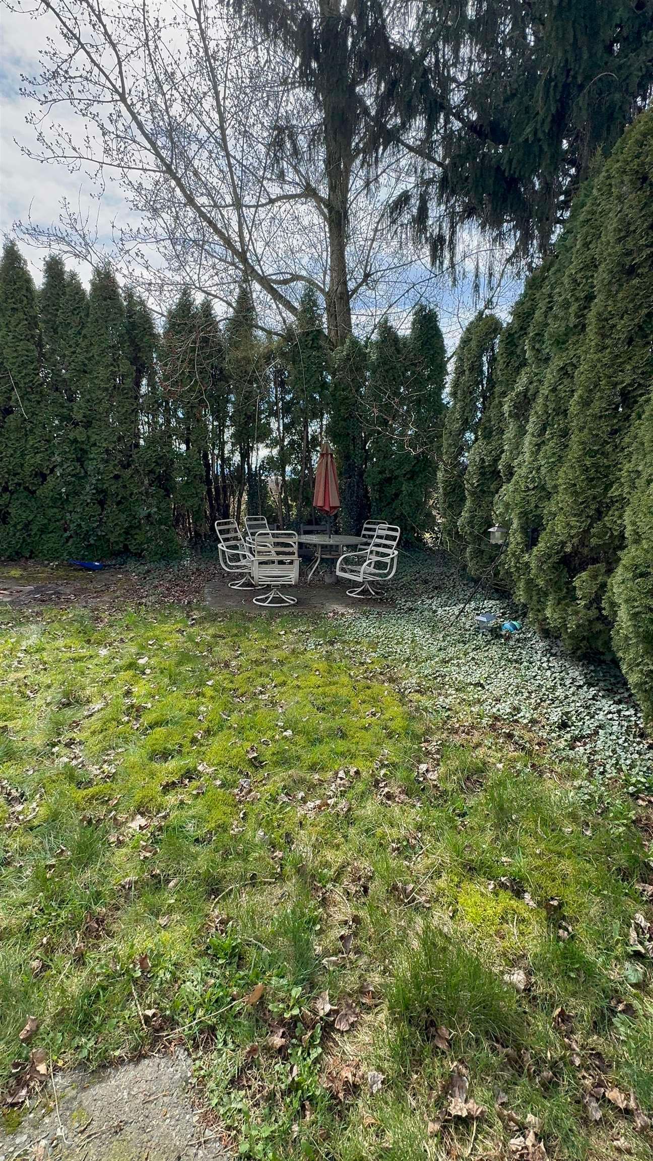 Listing Image 15