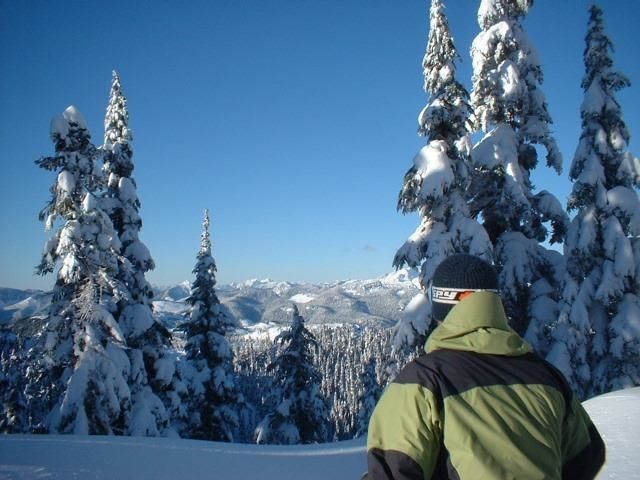 Listing Image 8