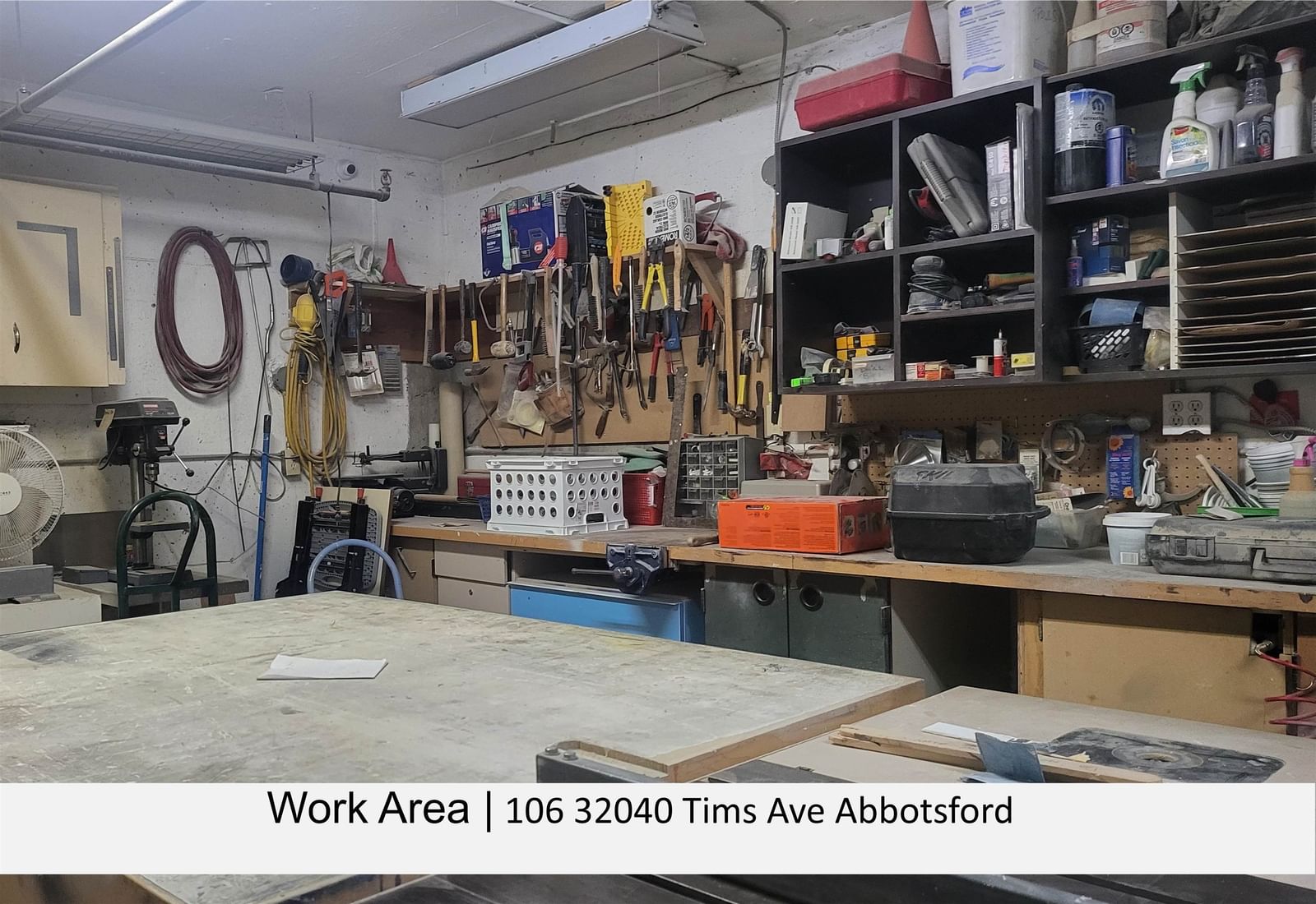 Listing Image 13