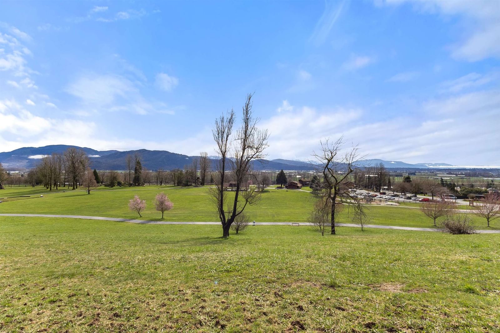 Listing Image 30