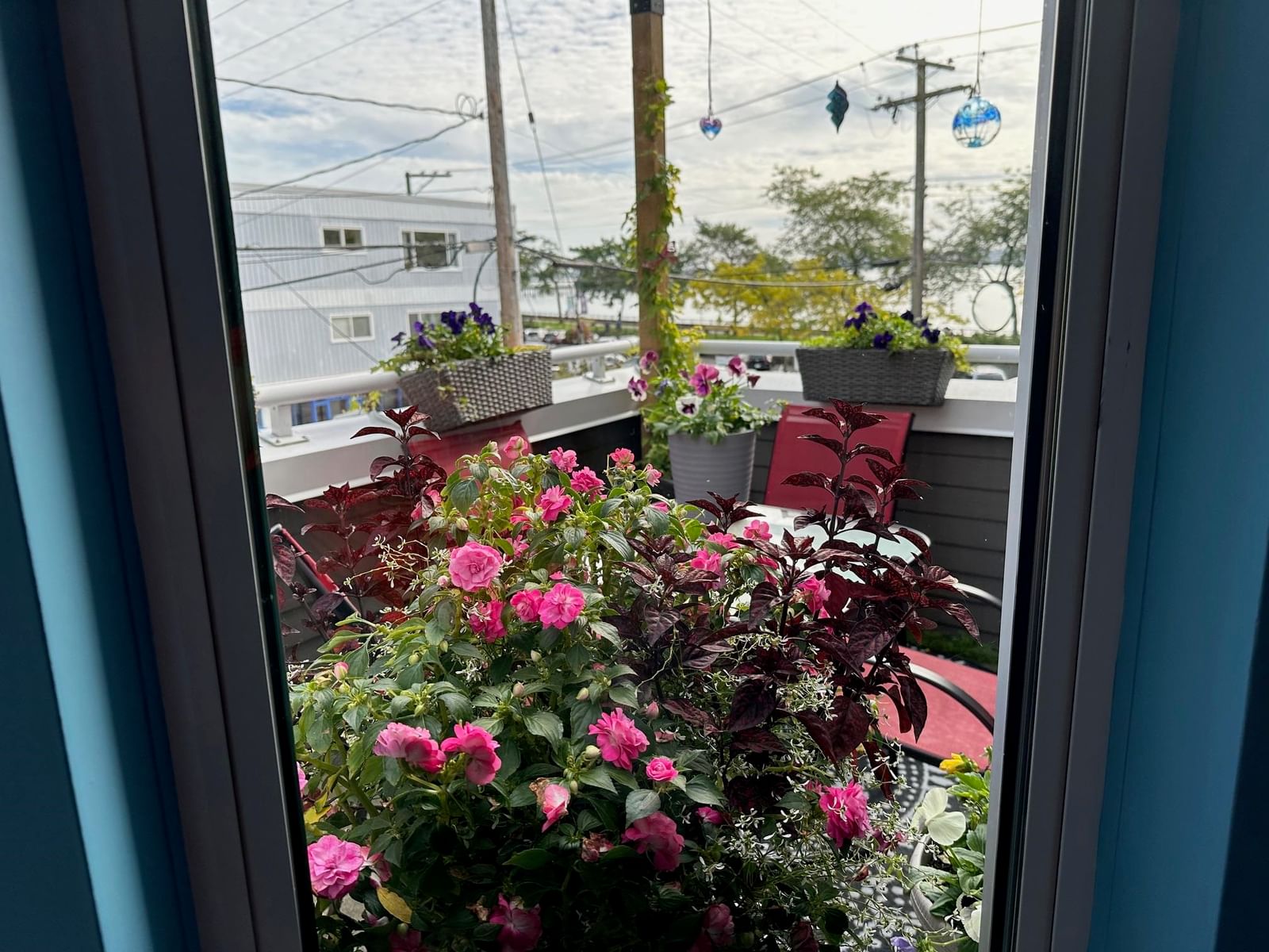 Listing Image 17