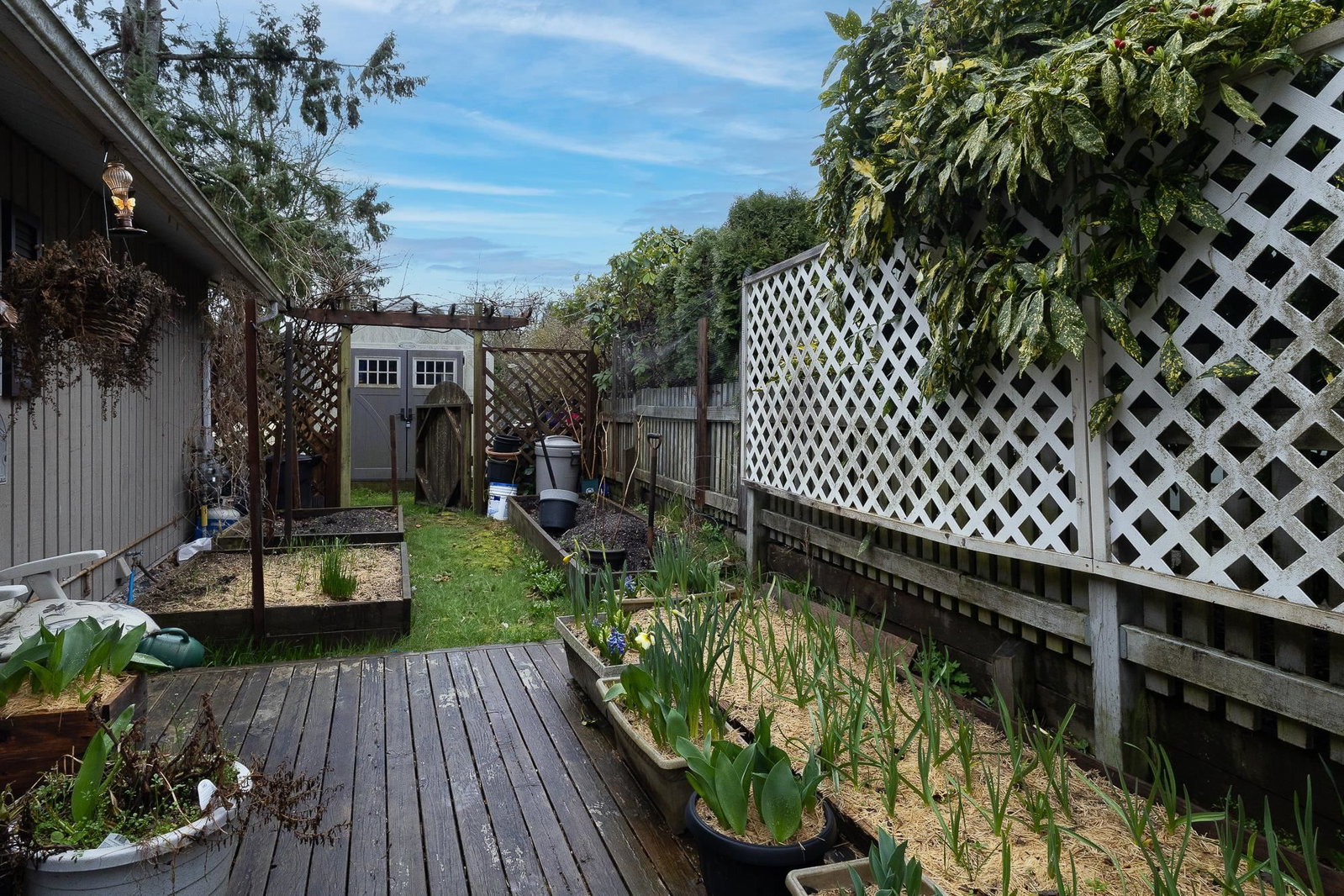 Listing Image 34