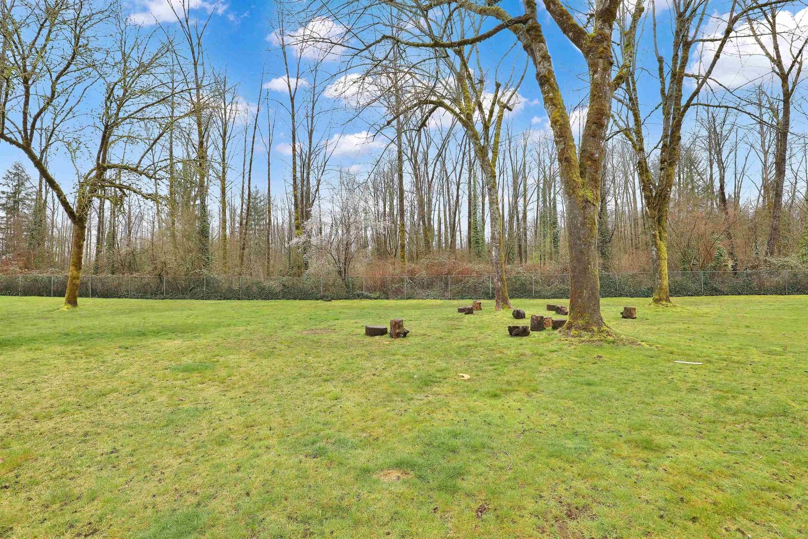 Listing Image 39