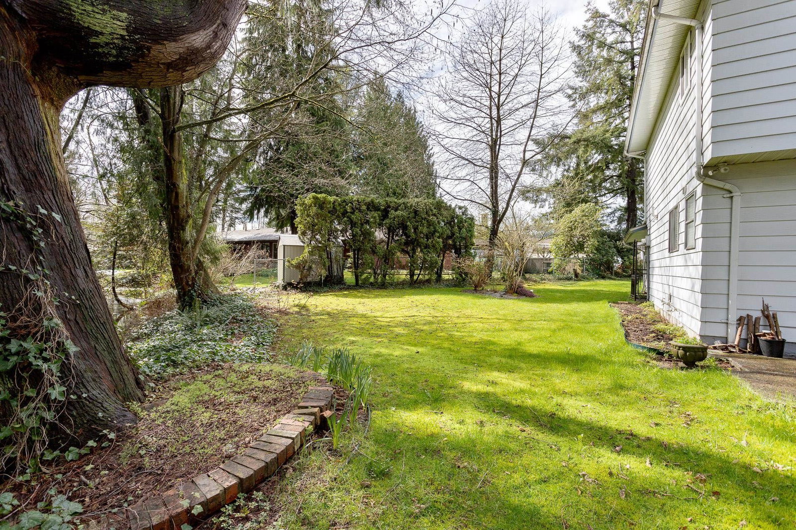 Listing Image 29