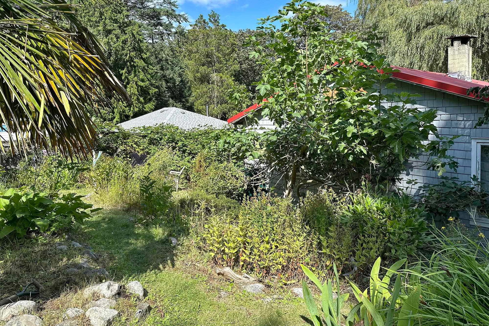 Listing Image 12