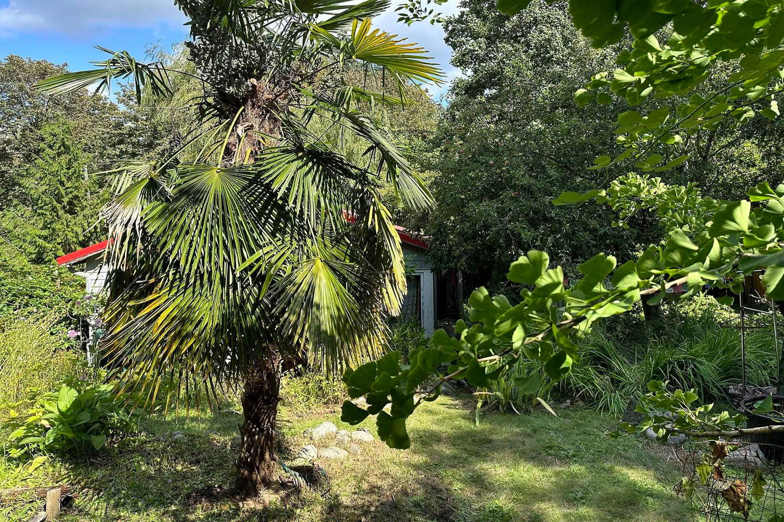 Listing Image 8