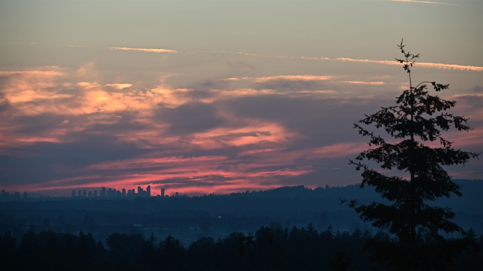 Listing Image 40