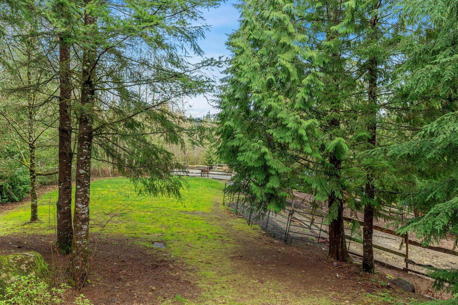 Listing Image 35