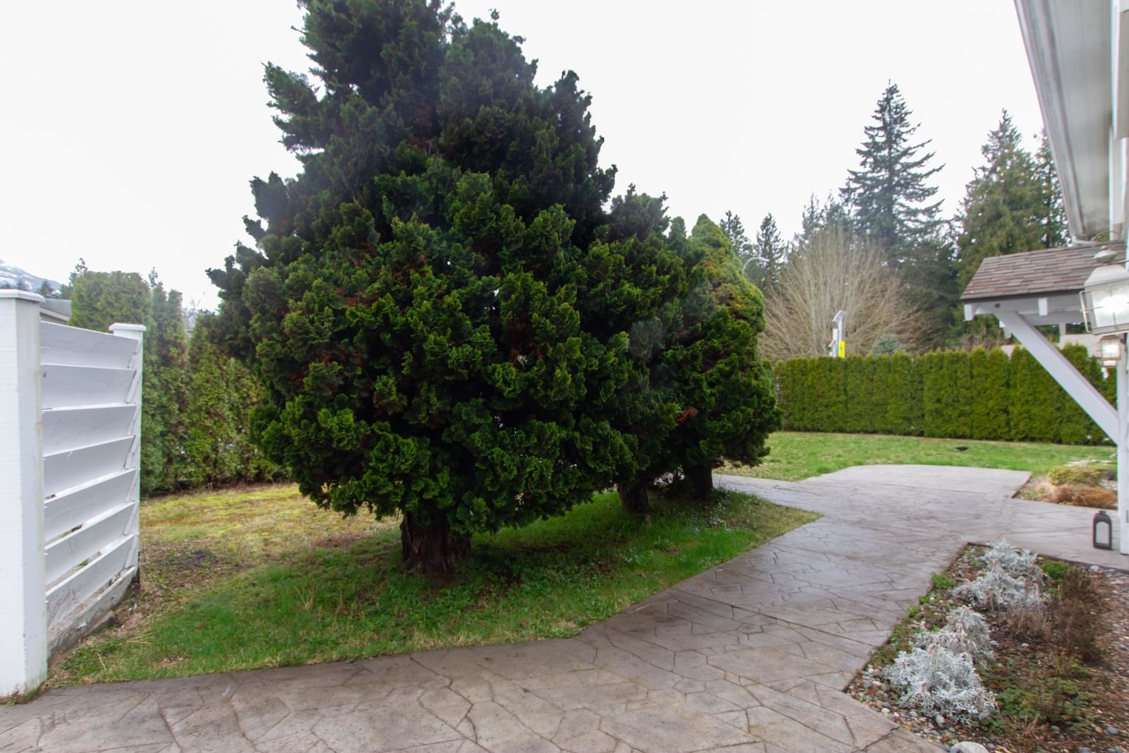 Listing Image 37