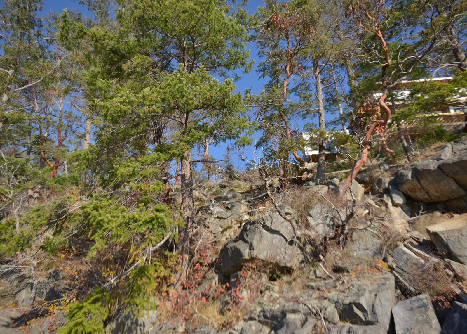 Listing Image 18