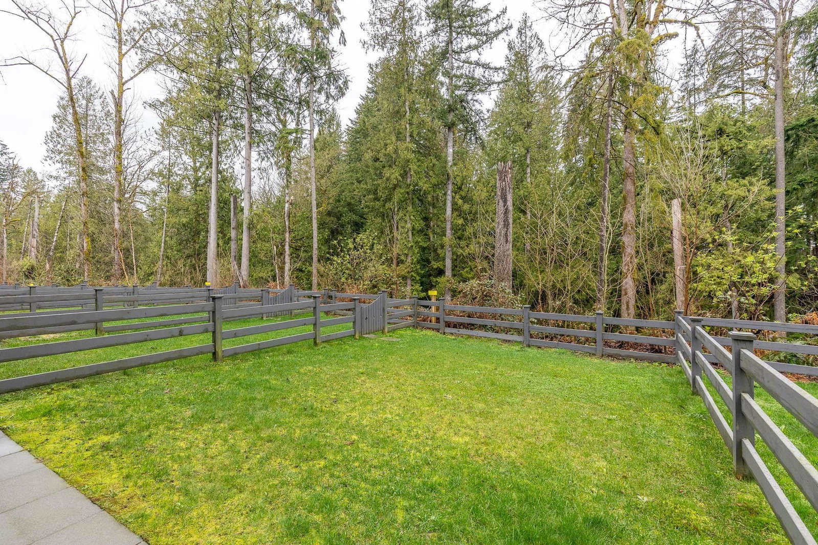 Listing Image 27