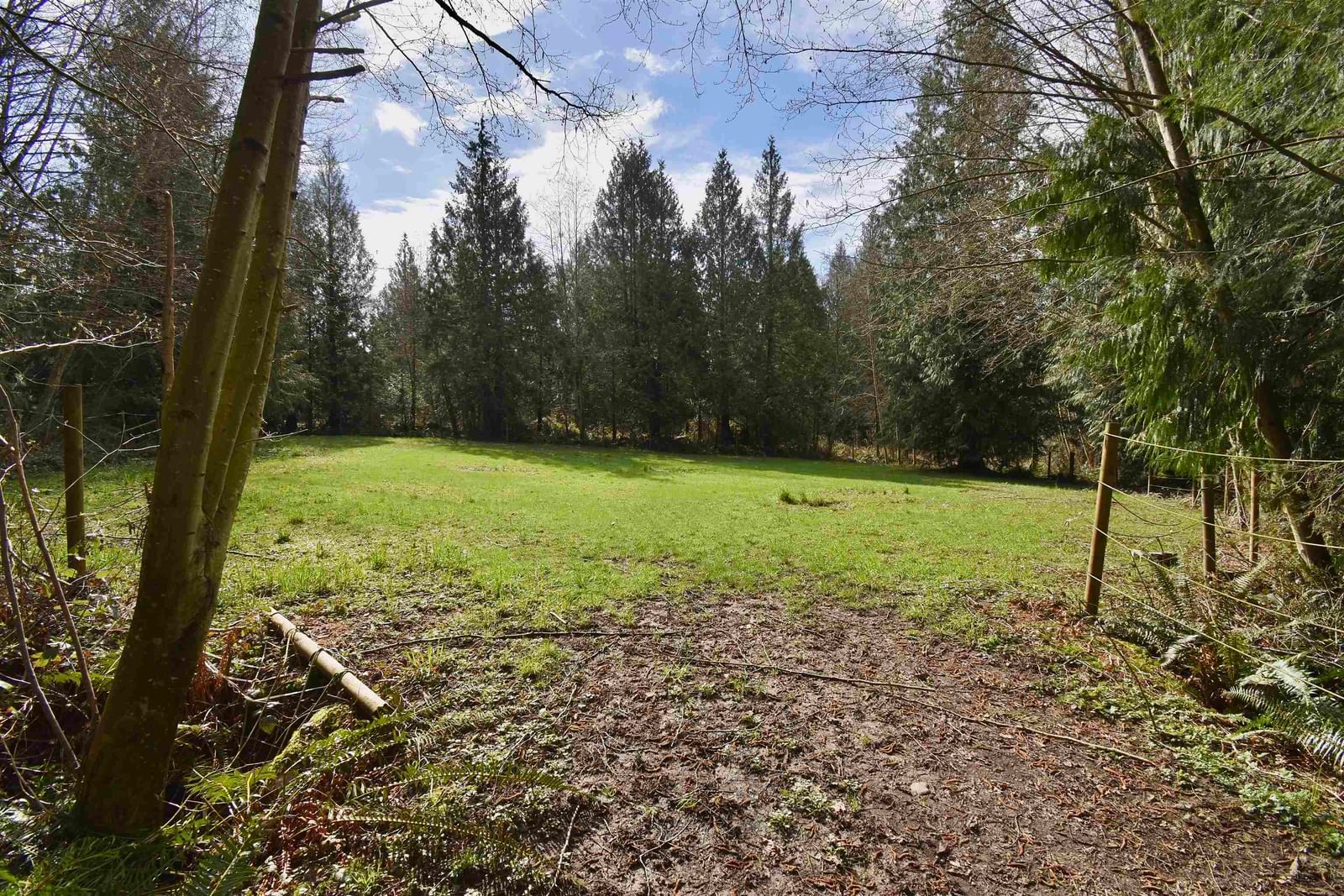 Listing Image 32