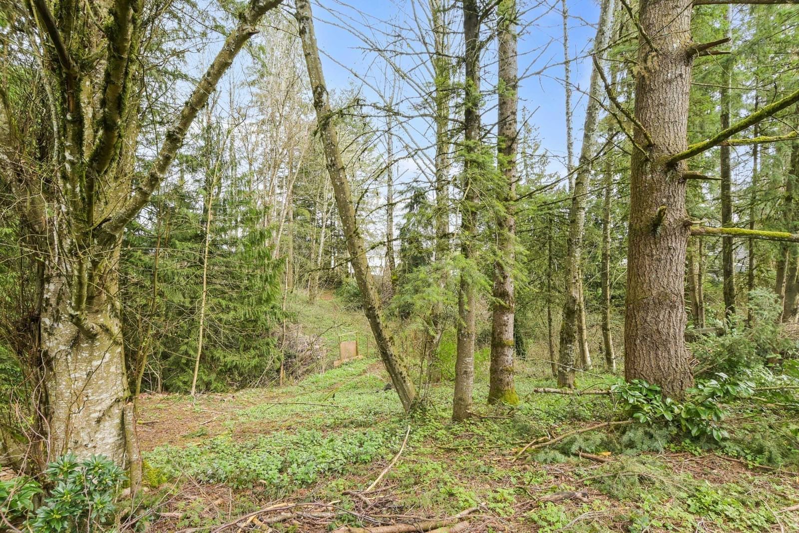 Listing Image 27