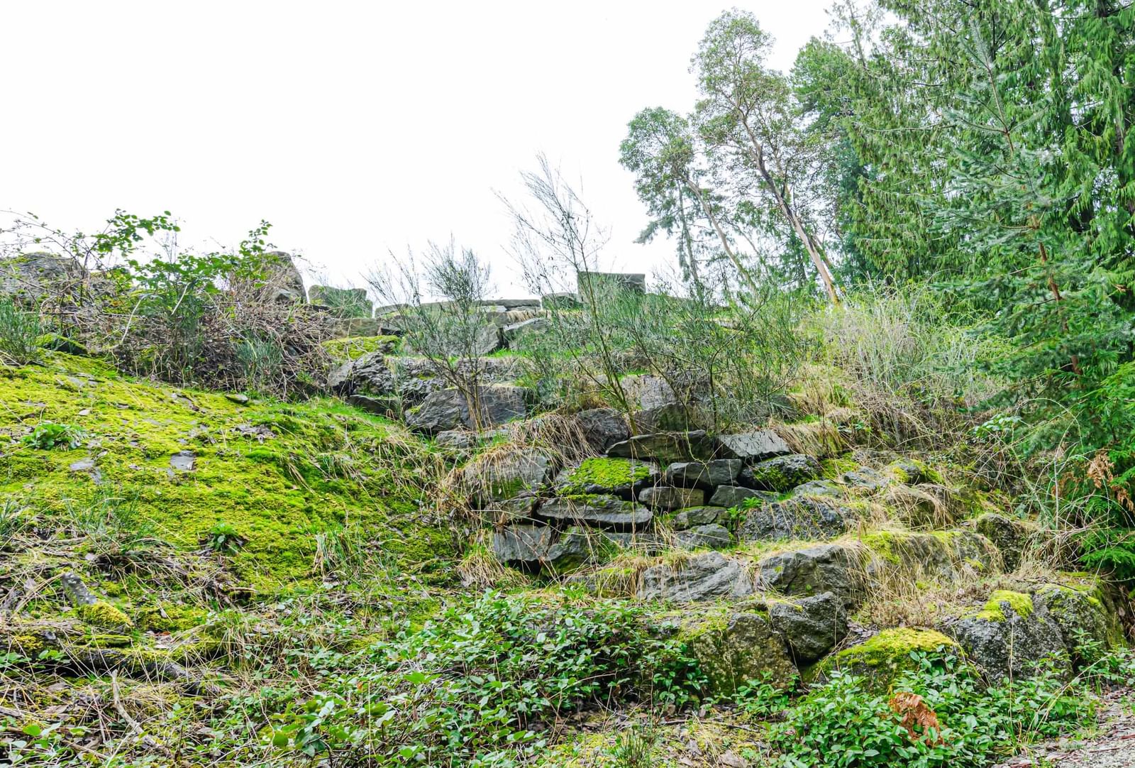 Listing Image 24