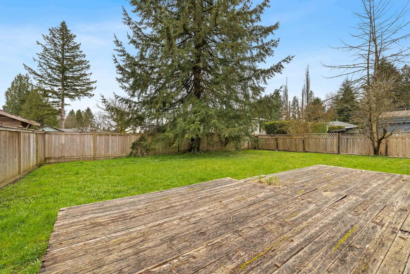 Listing Image 19