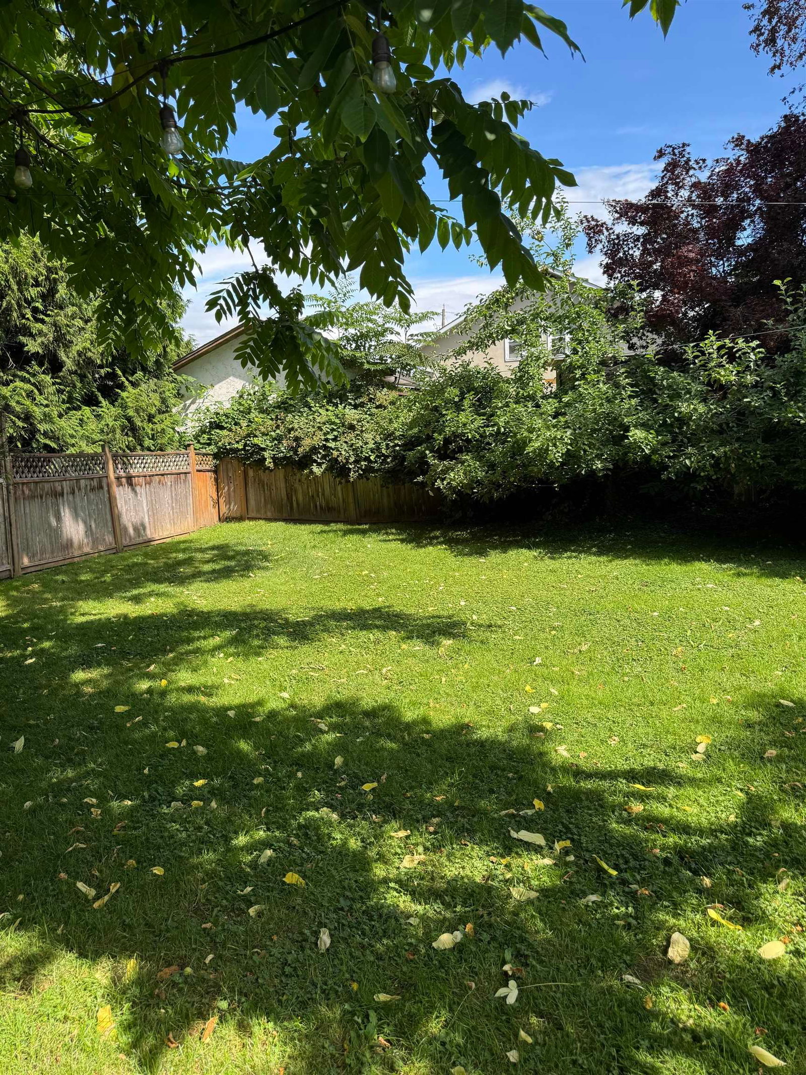 Listing Image 29