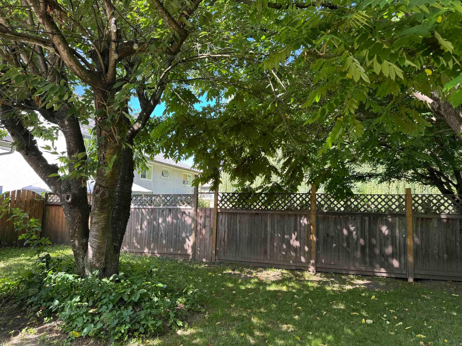 Listing Image 30