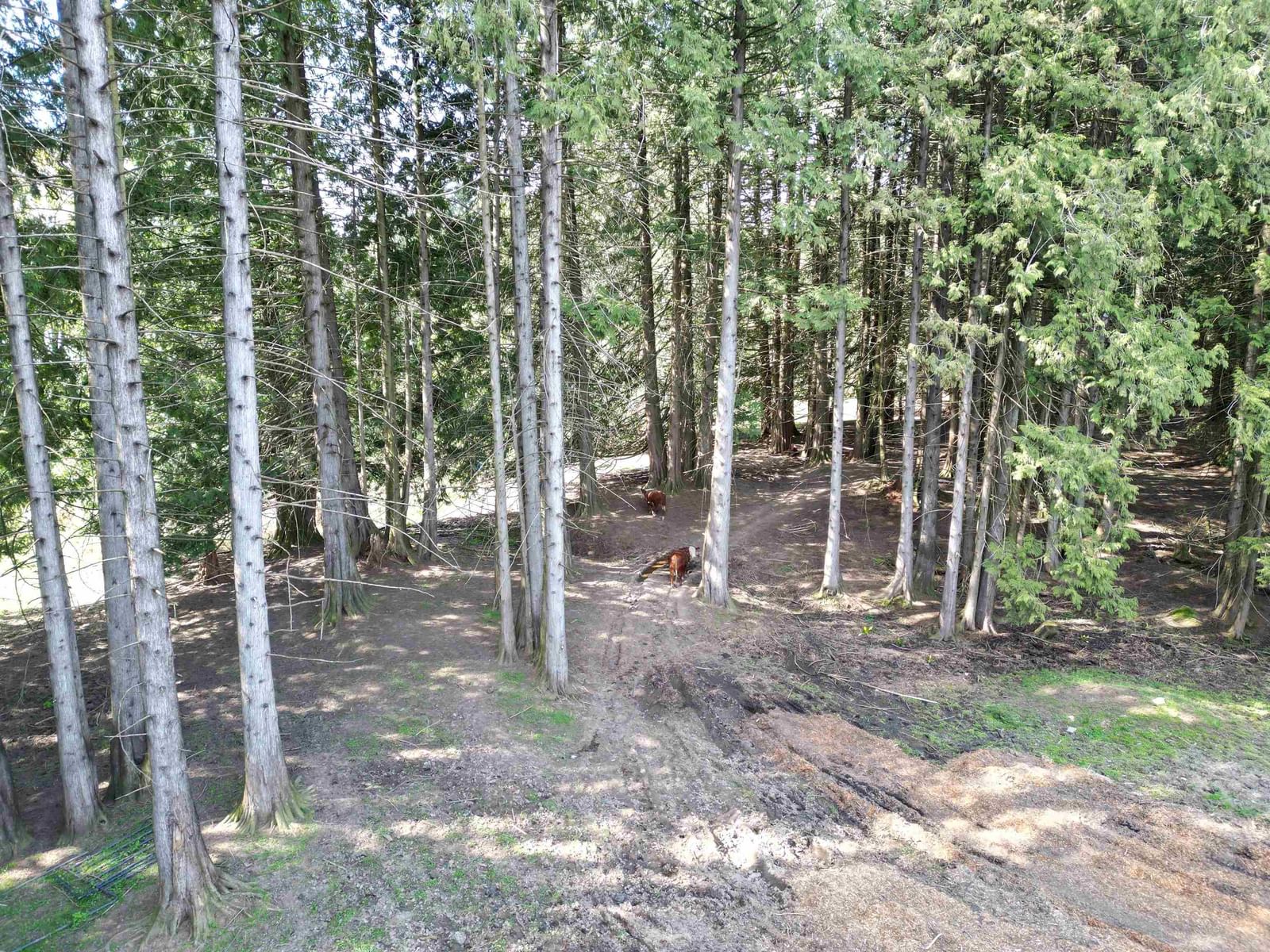 Listing Image 17